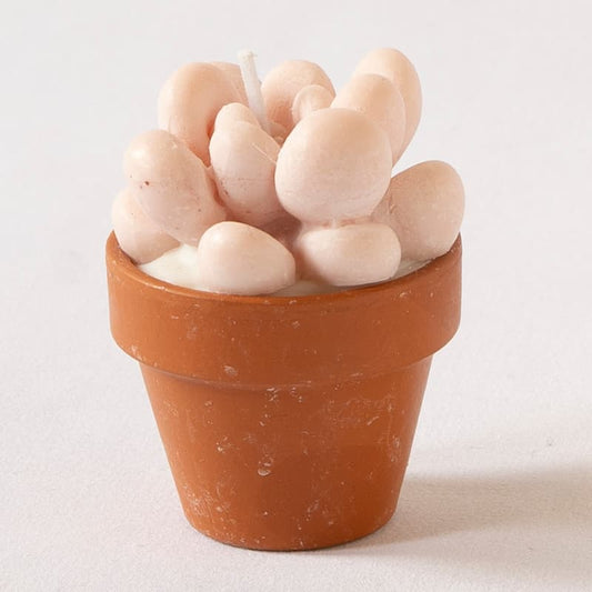 Vormkaars - Vetplantje in pot