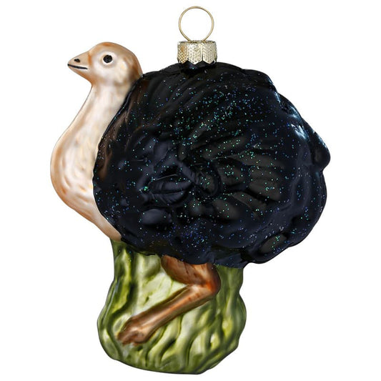Glazen Kerstbal - Struisvogel (verkrijgbaar vanaf september)